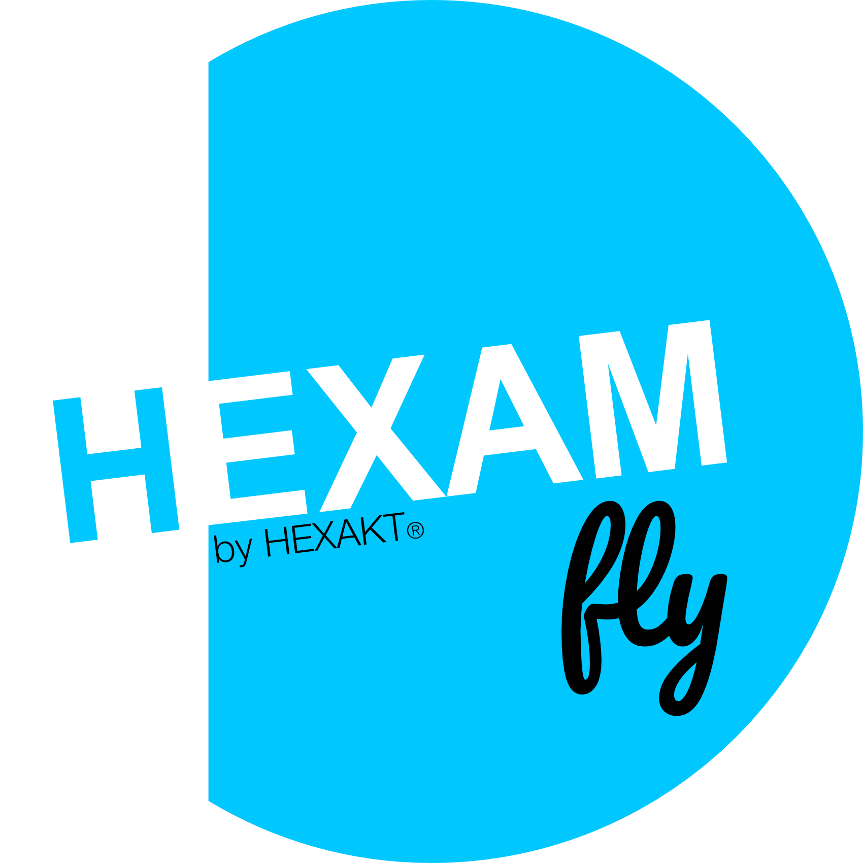 HEXAM fly